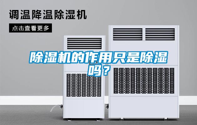除濕機的作用只是除濕嗎？