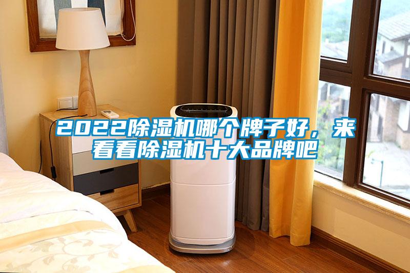 2022除濕機(jī)哪個(gè)牌子好，來看看除濕機(jī)十大品牌吧