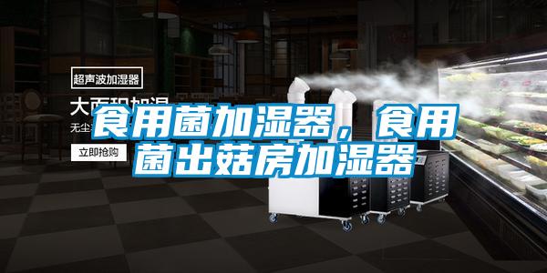 食用菌加濕器，食用菌出菇房加濕器