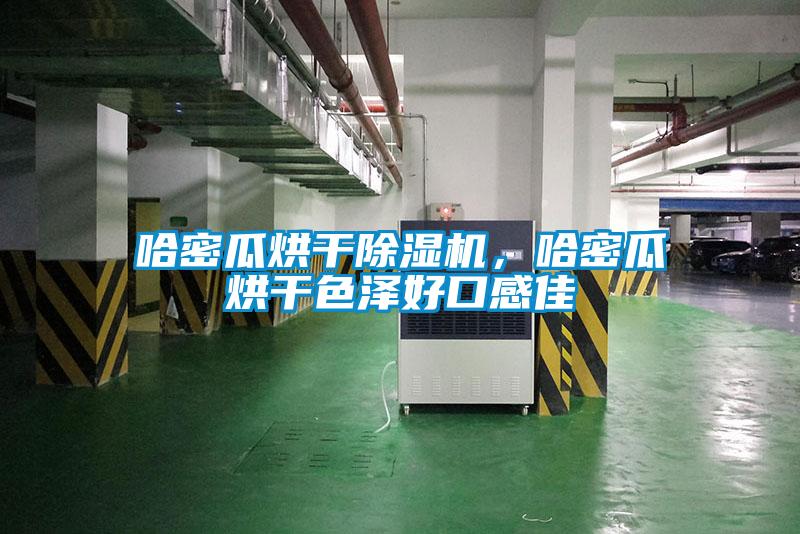 哈密瓜烘干除濕機(jī)，哈密瓜烘干色澤好口感佳
