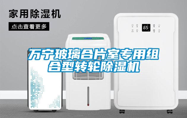 萬寧玻璃合片室專用組合型轉(zhuǎn)輪除濕機