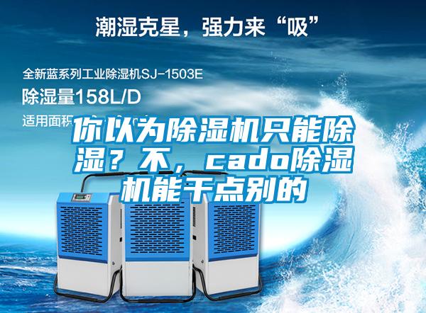 你以為除濕機只能除濕？不，cado除濕機能干點別的