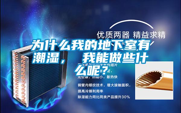 為什么我的地下室有潮濕， 我能做些什么呢？