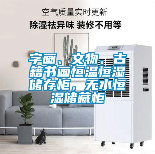 字畫、文物、古籍書畫恒溫恒濕儲(chǔ)存柜，無水恒濕儲(chǔ)藏柜