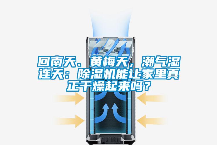 回南天、黃梅天，潮氣濕連天：除濕機能讓家里真正干燥起來嗎？