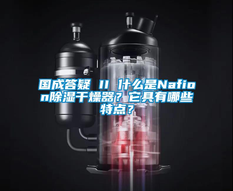 國成答疑 II 什么是Nafion除濕干燥器？它具有哪些特點(diǎn)？