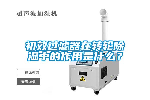 初效過濾器在轉輪除濕中的作用是什么？