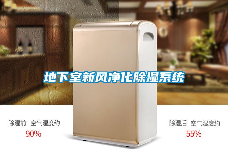 地下室新風凈化除濕系統(tǒng)