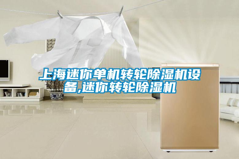 上海迷你單機轉(zhuǎn)輪除濕機設(shè)備,迷你轉(zhuǎn)輪除濕機