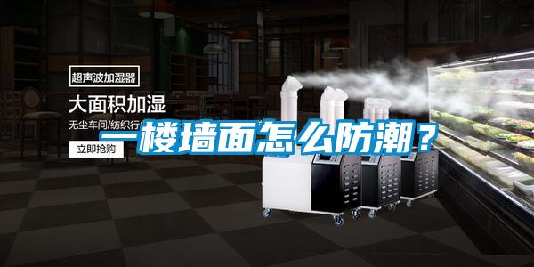 一樓墻面怎么防潮？
