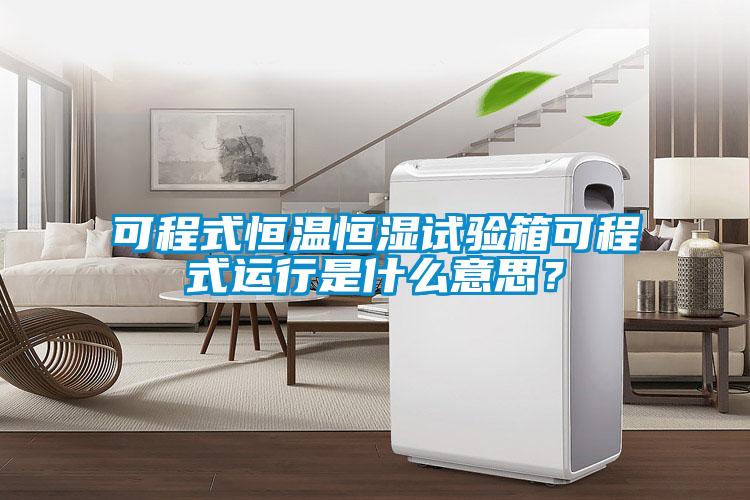 可程式恒溫恒濕試驗箱可程式運行是什么意思？
