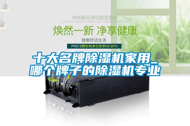 十大名牌除濕機(jī)家用_哪個(gè)牌子的除濕機(jī)專(zhuān)業(yè)