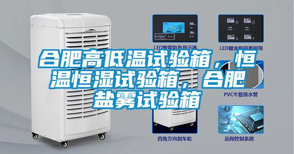 合肥高低溫試驗(yàn)箱，恒溫恒濕試驗(yàn)箱，合肥鹽霧試驗(yàn)箱