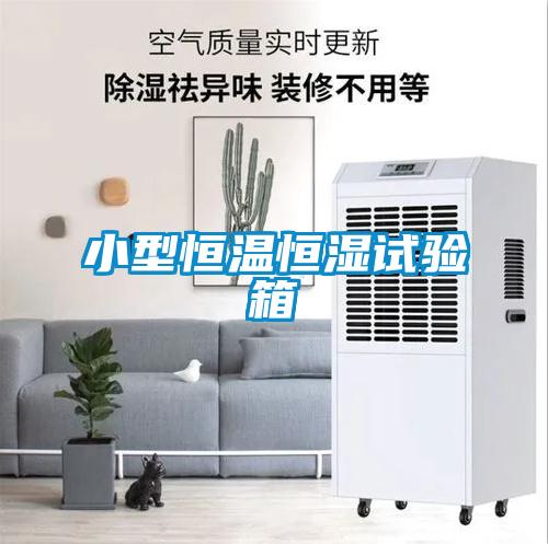 小型恒溫恒濕試驗(yàn)箱