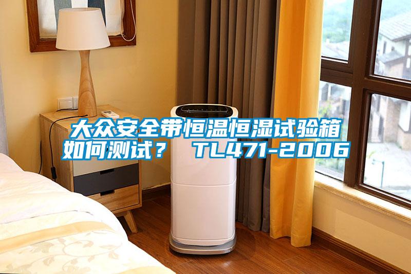 大眾安全帶恒溫恒濕試驗(yàn)箱如何測試？ TL471-2006