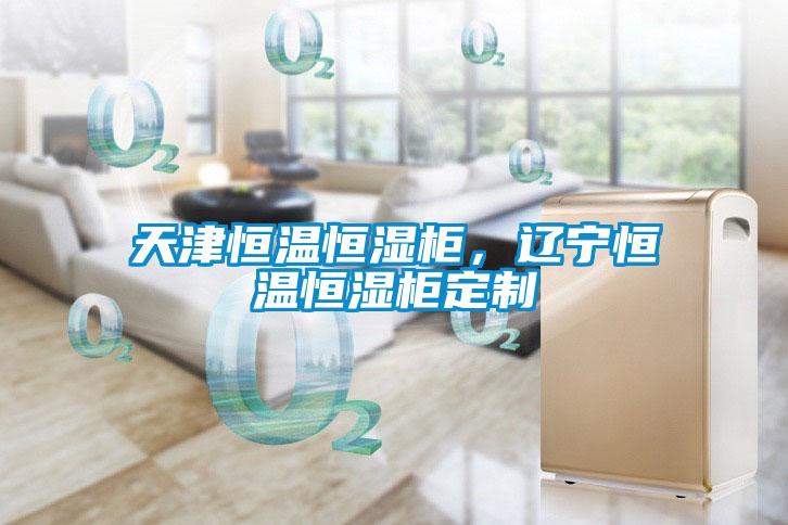 天津恒溫恒濕柜，遼寧恒溫恒濕柜定制