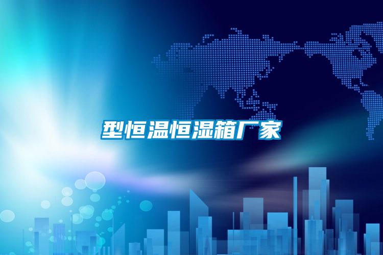 型恒溫恒濕箱廠(chǎng)家