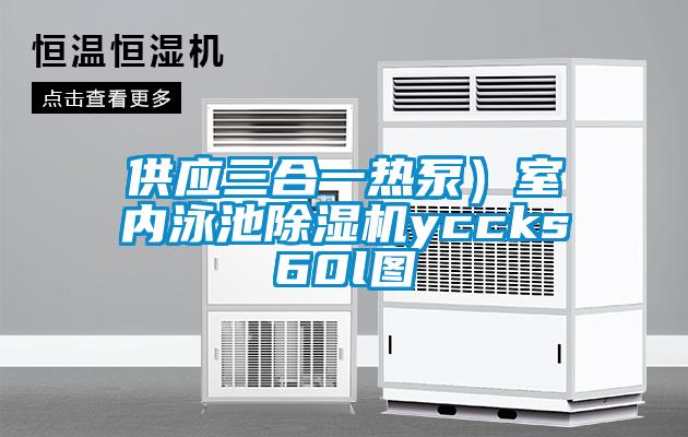 供應(yīng)三合一熱泵）室內(nèi)泳池除濕機yccks60l圖
