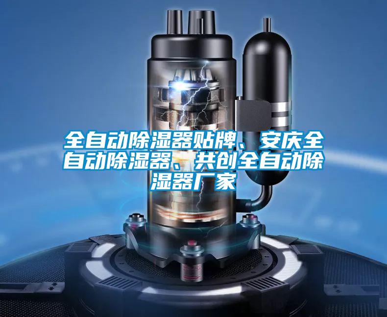 全自動除濕器貼牌、安慶全自動除濕器、共創(chuàng)全自動除濕器廠家