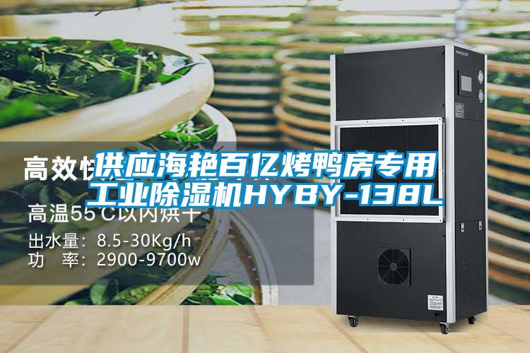 供應(yīng)海艷百億烤鴨房專(zhuān)用工業(yè)除濕機(jī)HYBY-138L