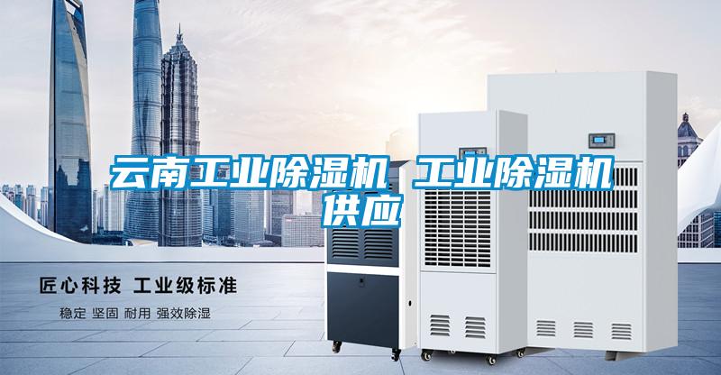 云南工業(yè)除濕機 工業(yè)除濕機供應