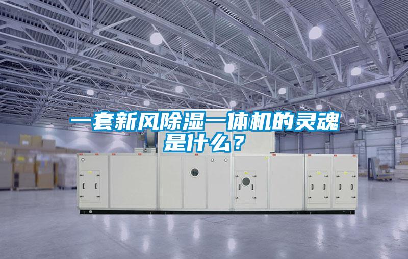 一套新風(fēng)除濕一體機(jī)的靈魂是什么？