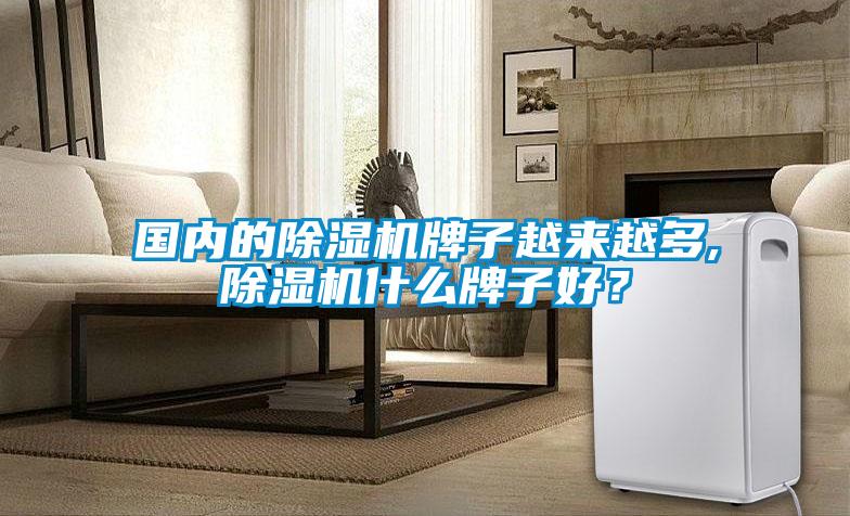 國內(nèi)的除濕機(jī)牌子越來越多,除濕機(jī)什么牌子好？