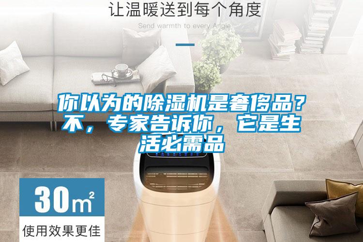 你以為的除濕機是奢侈品？不，專家告訴你，它是生活必需品