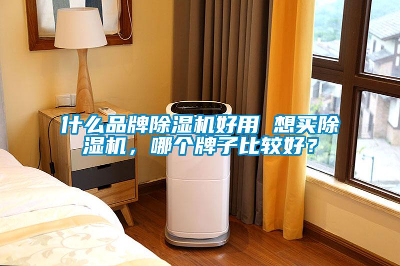 什么品牌除濕機(jī)好用 想買除濕機(jī)，哪個(gè)牌子比較好？