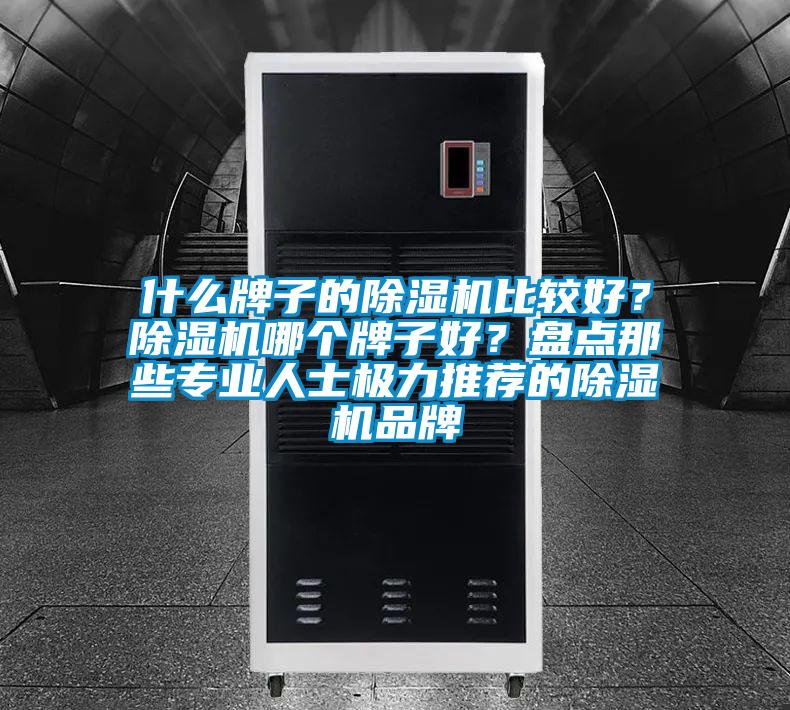 什么牌子的除濕機比較好？除濕機哪個牌子好？盤點那些專業(yè)人士極力推薦的除濕機品牌