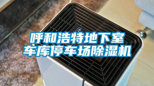 呼和浩特地下室車庫(kù)停車場(chǎng)除濕機(jī)