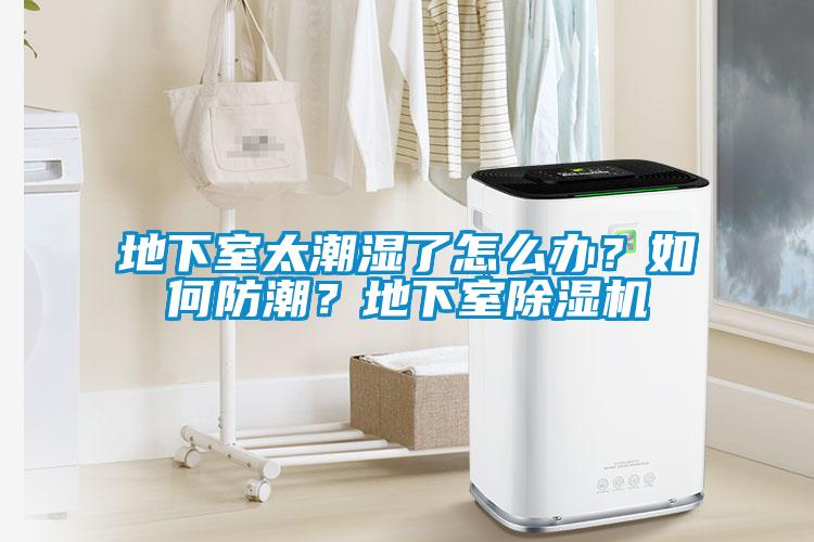 地下室太潮濕了怎么辦？如何防潮？地下室除濕機(jī)