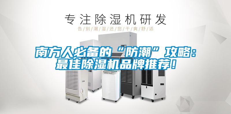 南方人必備的“防潮”攻略：最佳除濕機品牌推薦！