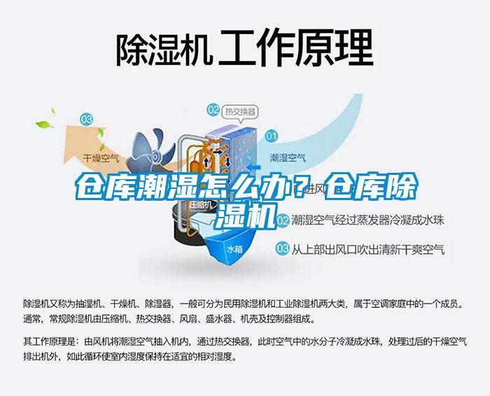 倉庫潮濕怎么辦？倉庫除濕機
