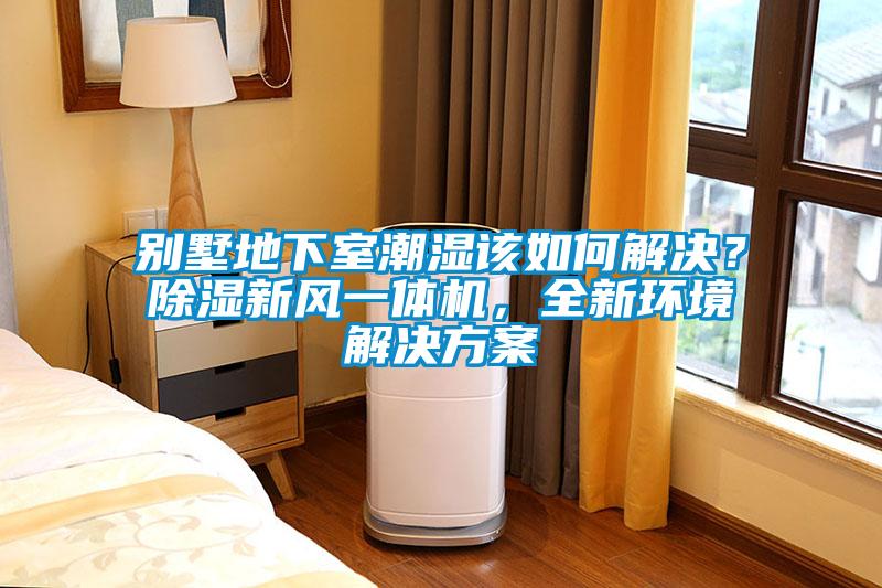 別墅地下室潮濕該如何解決？除濕新風(fēng)一體機(jī)，全新環(huán)境解決方案