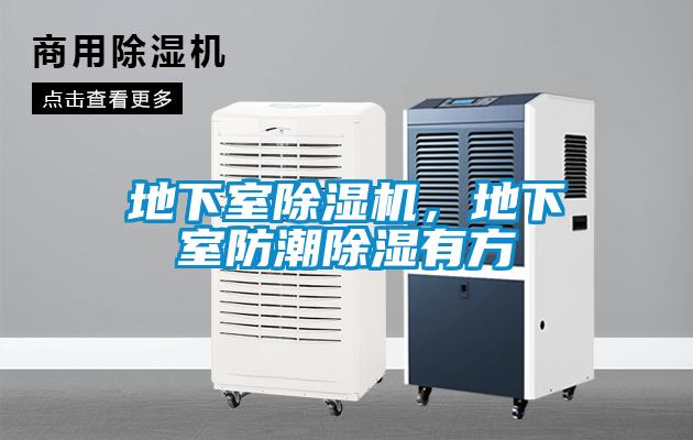 地下室除濕機(jī)，地下室防潮除濕有方