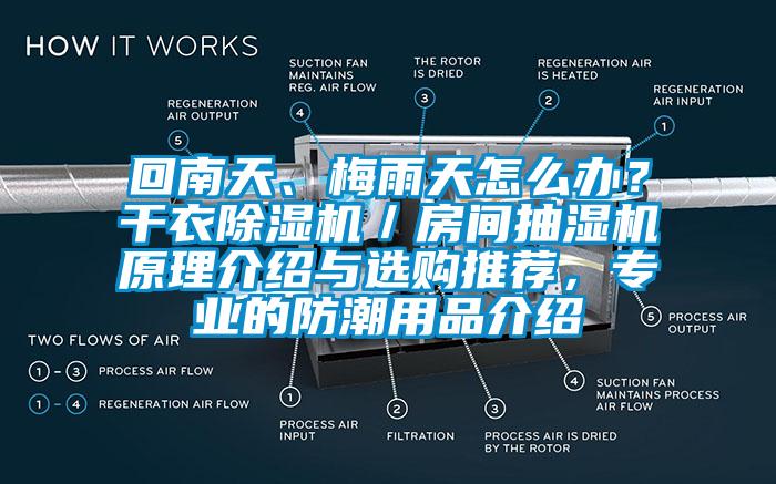 回南天、梅雨天怎么辦？干衣除濕機(jī)／房間抽濕機(jī)原理介紹與選購?fù)扑]，專業(yè)的防潮用品介紹