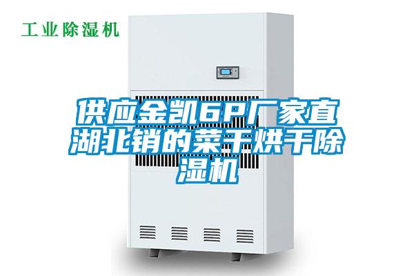 供應(yīng)金凱6P廠家直湖北銷的菜干烘干除濕機