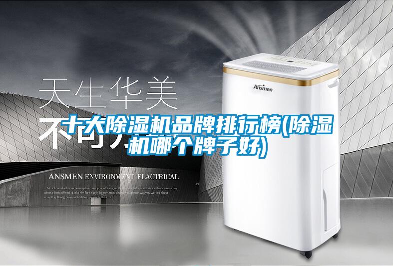 十大除濕機(jī)品牌排行榜(除濕機(jī)哪個牌子好)