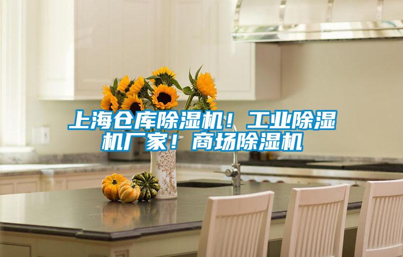 上海倉庫除濕機！工業(yè)除濕機廠家！商場除濕機