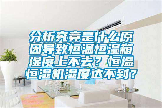 分析究竟是什么原因導致恒溫恒濕箱濕度上不去？恒溫恒濕機濕度達不到？