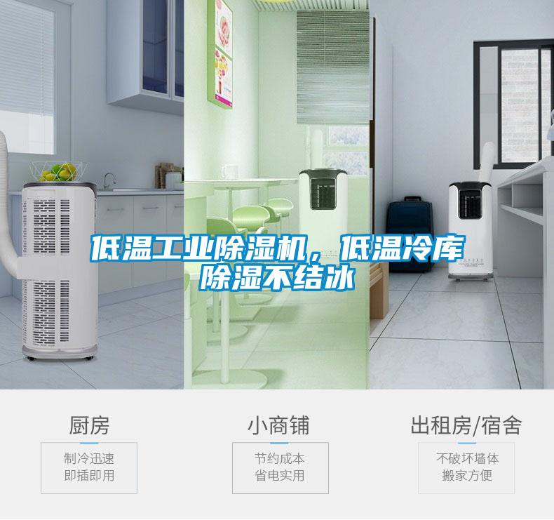 低溫工業(yè)除濕機，低溫冷庫除濕不結(jié)冰