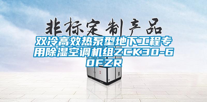 雙冷高效熱泵型地下工程專(zhuān)用除濕空調(diào)機(jī)組ZCK30-60FZR