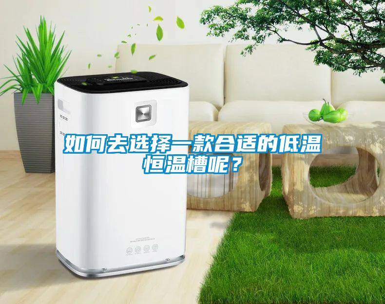 如何去選擇一款合適的低溫恒溫槽呢？