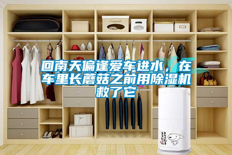 回南天偏逢愛車進(jìn)水，在車?yán)镩L蘑菇之前用除濕機救了它
