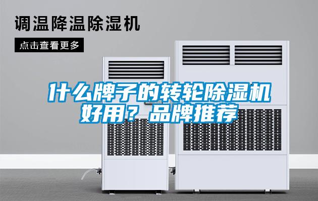 什么牌子的轉(zhuǎn)輪除濕機(jī)好用？品牌推薦