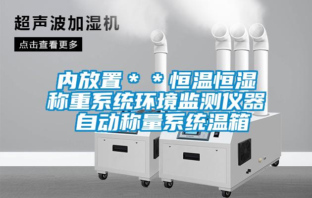 內(nèi)放置＊＊恒溫恒濕稱重系統(tǒng)環(huán)境監(jiān)測儀器 自動(dòng)稱量系統(tǒng)溫箱