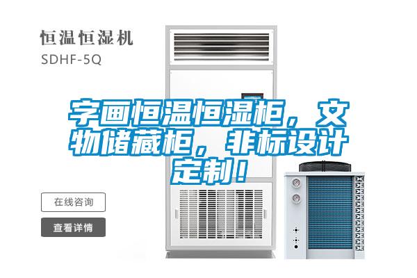 字畫恒溫恒濕柜，文物儲(chǔ)藏柜，非標(biāo)設(shè)計(jì)定制！
