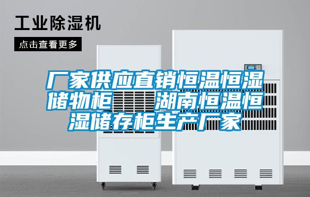 廠家供應(yīng)直銷恒溫恒濕儲物柜   湖南恒溫恒濕儲存柜生產(chǎn)廠家