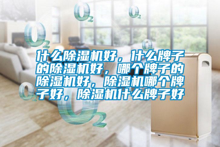 什么除濕機(jī)好，什么牌子的除濕機(jī)好，哪個(gè)牌子的除濕機(jī)好，除濕機(jī)哪個(gè)牌子好，除濕機(jī)什么牌子好